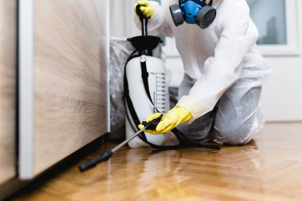 Best Residential Pest Control  in Fair Oaks Ranch, TX