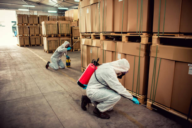 Best Rat Extermination Near Me  in Fair Oaks Ranch, TX