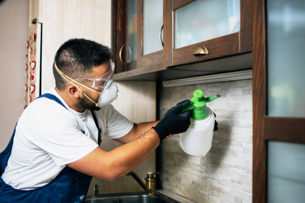 Best Affordable Pest Control Services  in Fair Oaks Ranch, TX