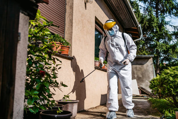 Best Best Pest Control Companies  in Fair Oaks Ranch, TX