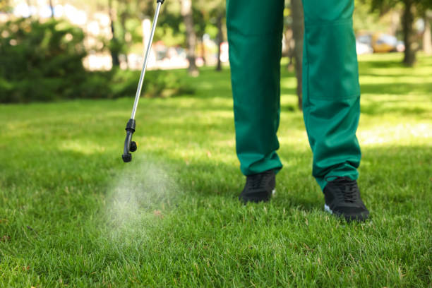 Best Best Pest Control Companies  in Fair Oaks Ranch, TX