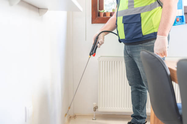 Best Local Pest Control Services  in Fair Oaks Ranch, TX