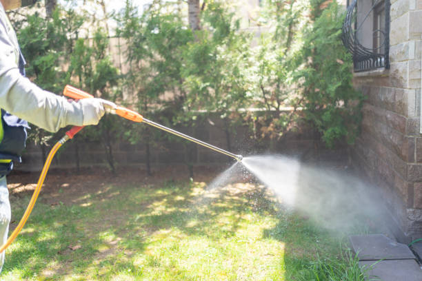 Best Mosquito Control Services  in Fair Oaks Ranch, TX