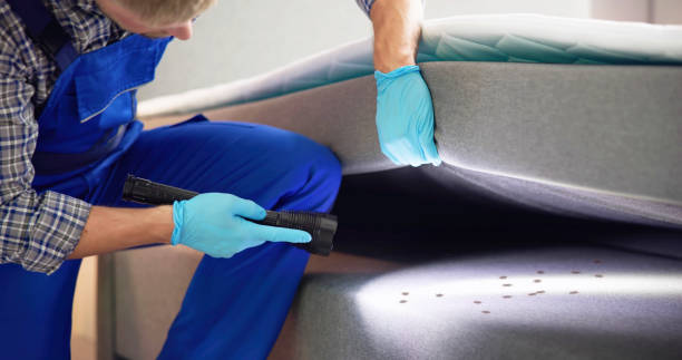 Best Insect Control  in Fair Oaks Ranch, TX